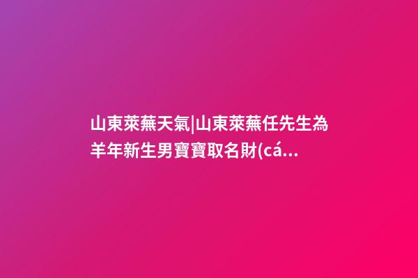 山東萊蕪天氣|山東萊蕪任先生為羊年新生男寶寶取名財(cái)富型套餐-第1張-公司起名-玄機(jī)派